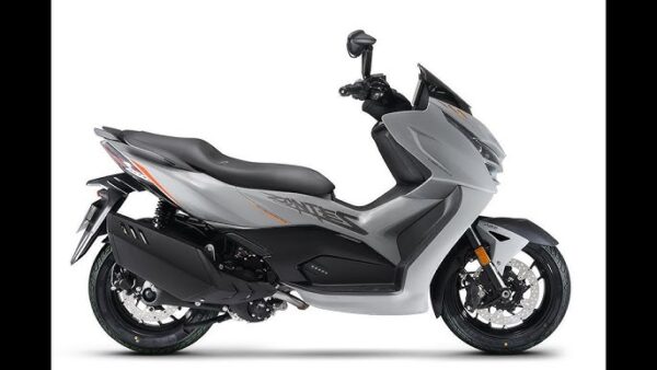 ZONTES 368D - immagine 4
