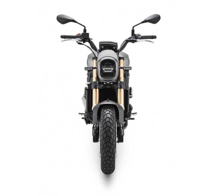 BENELLI LEONCINO 800